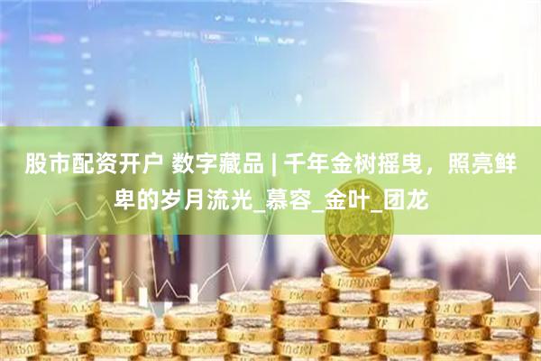 股市配资开户 数字藏品 | 千年金树摇曳，照亮鲜卑的岁月流光_慕容_金叶_团龙