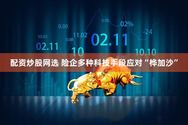 配资炒股网选 险企多种科技手段应对“桦加沙”